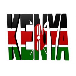 Door to Office Service to Kenya