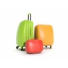 Shopping Bag / Suitcase by Sea to Nigeria